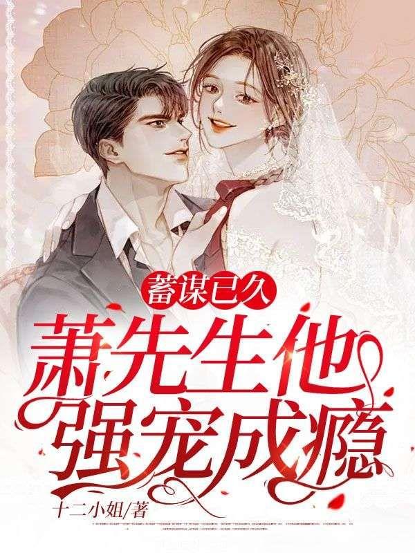 蓄谋已久,萧先生他强宠成瘾