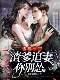 腹黑三宝:渣爹追妻你别怂