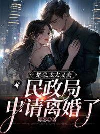 楚总,太太又去民政局申请离婚了