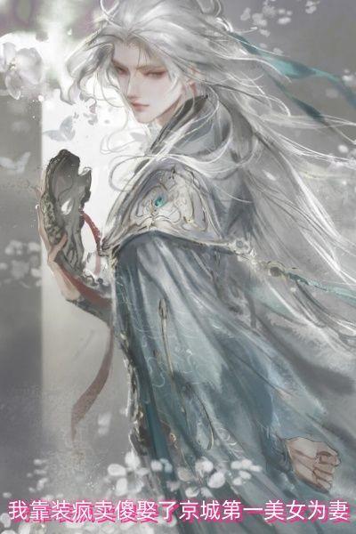 我靠装疯卖傻娶了京城第一美女为妻
