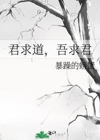 君求道,吾求君