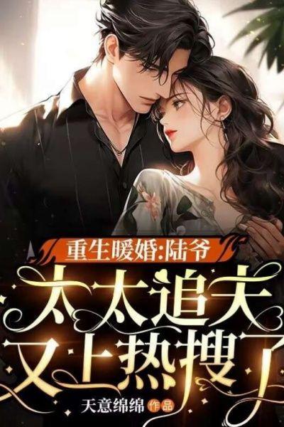重生暖婚：陆爷，太太追夫又上热搜了